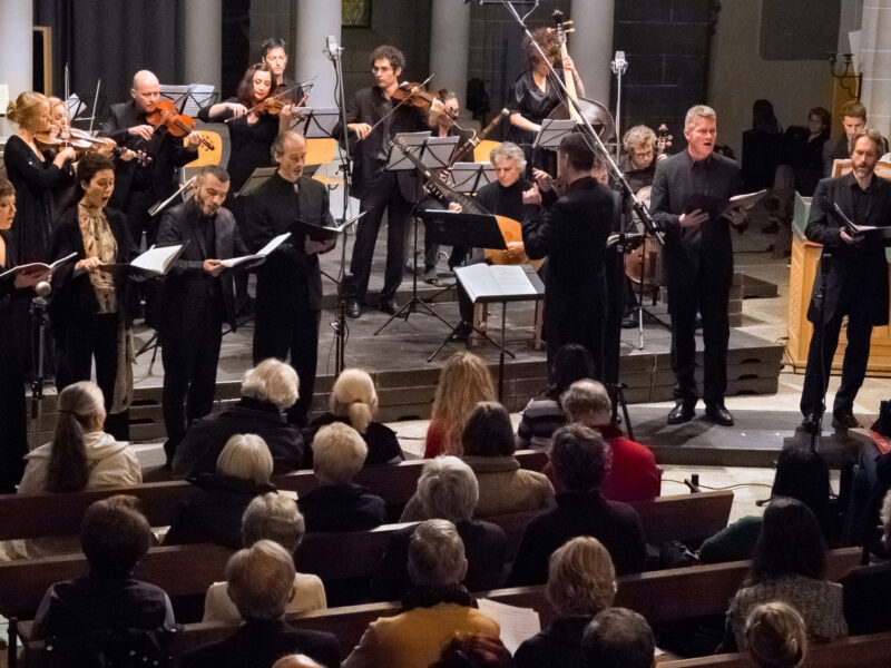 Collegium.c-Daniel-Muster