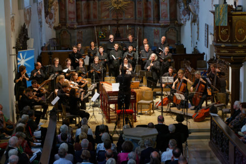 Il Gardellino © Hartmut Hientzsch